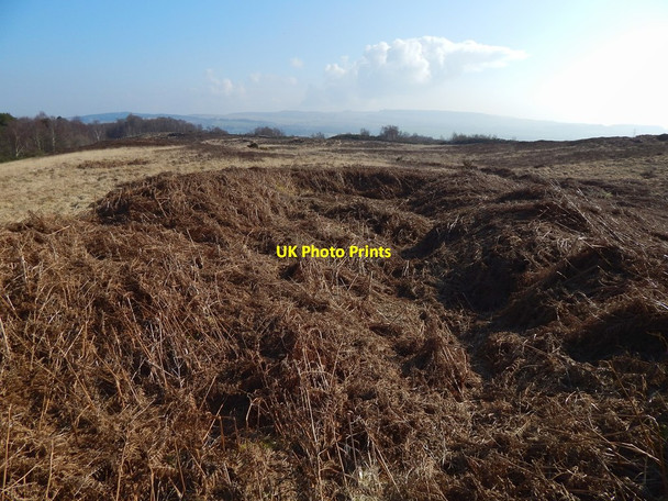Photo 6"x4" Old quarry pit Alexandria c2015