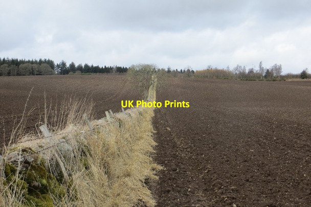 Photo 6"x4" Dyke, Ruthven Ruthven\/NO2848 c2015