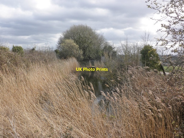 Photo 6"x4" Fenced pond on Cannington Golf Course Rodway\/ST2540 c2015