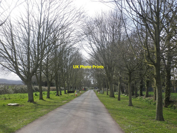 Photo 6"x4" Entrance driveway, Brymore School Cannington c2015