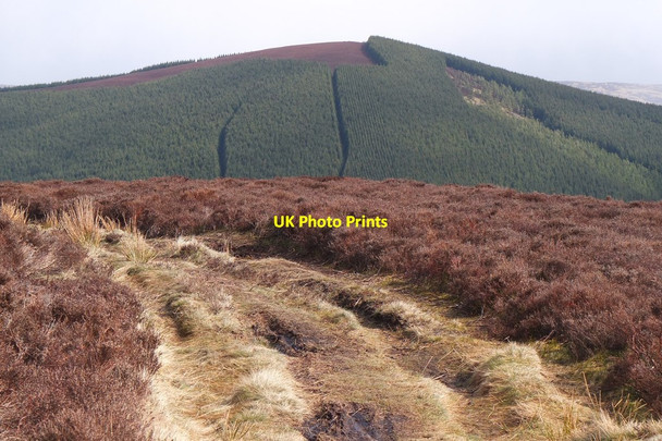 Photo 6"x4" Cairn Hill from Kirnie Law Innerleithen c2015