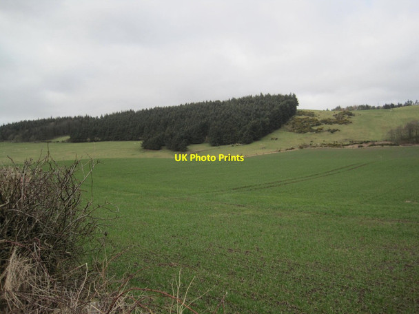 Photo 6"x4" Farmland and Plantations Fernie\/NO3115 c2015