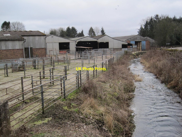 Photo 6"x4" Fernie Burn at Fernie Mill Fernie\/NO3115 c2015