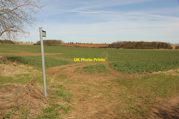 Photo 6"x4" Footpath to High Wood Ancaster c2015