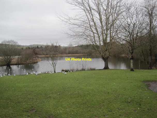 Photo 6"x4" Birnie Loch Nature Reserve Kinloch\/NO2812 c2015