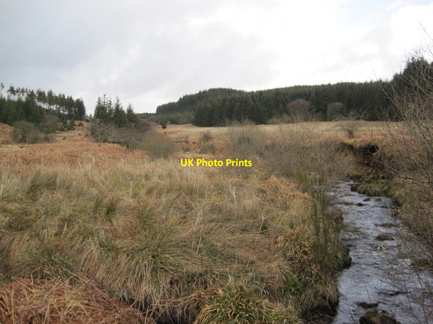 Photo 6"x4" Belling Burn Hawkhope\/NY7188 c2015