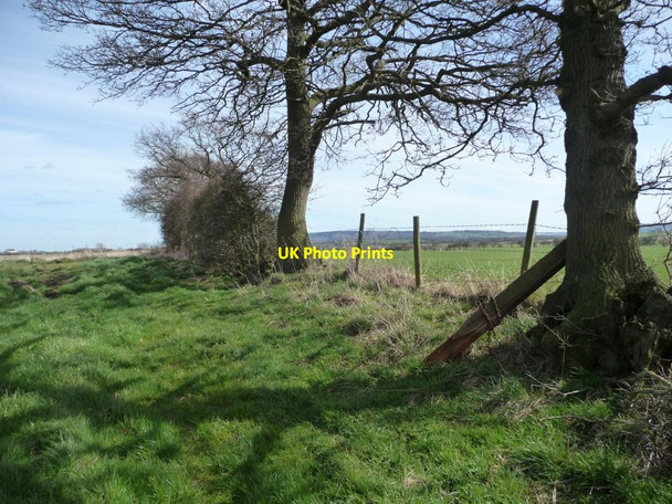 Photo 6"x4" Barbed wire filling a gap in the hedge, off Long Lane Deighton\/NZ3801 c2015