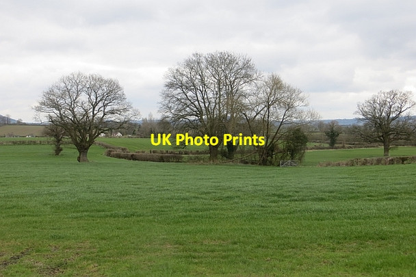 Photo 6"x4" Fields near Dilwyn Dilwyn c2015