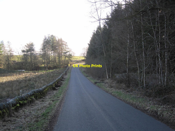 Photo 6"x4" Road towards Communications Mast Blenkinsopp Hall c2015