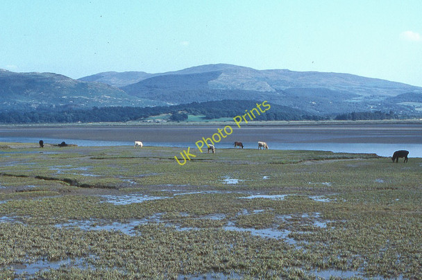 Photo 6"x4" The Dyfi estuary near Gogarth Eglwys Fach c1991