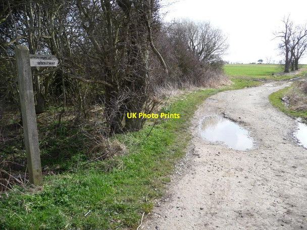 Photo 6"x4" Blind Lane [track and public bridleway] Deighton\/NZ3801 c2015
