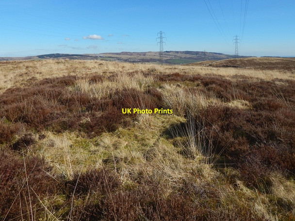 Photo 6"x4" Signs of surface quarrying Ardoch\/NS3676 c2015 P1