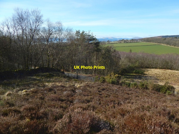 Photo 6"x4" View to Carman Road Ardoch\/NS3676 c2015