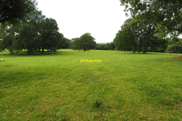 Photo 6"x4" A field at the back of Hidcote Manor Garden Hidcote Bartrim c2014