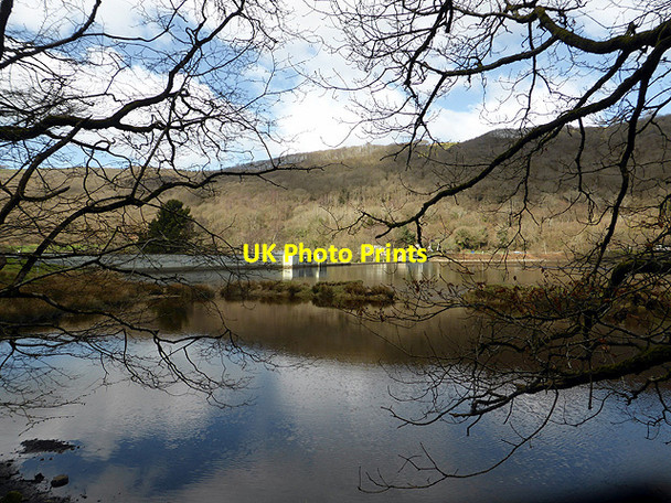 Photo 6"x4" Cwm Rheidol hydro dam viewed through the trees Aberffrwd\/SN6878 c2015