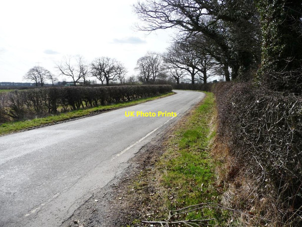 Photo 6"x4" Long Lane [2] Crathorne c2015