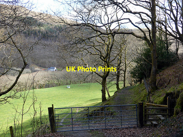 Photo 6"x4" Gate and stile in Cwm Rheidol Cwmbrwyno c2015