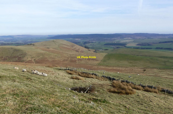 Photo 6"x4" Approaching a fence at the end of Access Land Alnham c2015