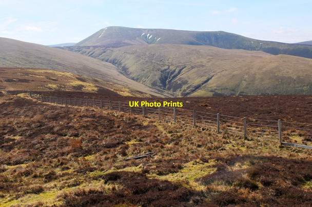 Photo 6"x4" Culter Fell from Scawdmans Hill Mitchell Hill\/NT0633 c2015