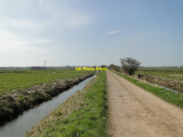 Photo 6"x4" Road across Langley Marshes Cantley\/TG3803 c2015