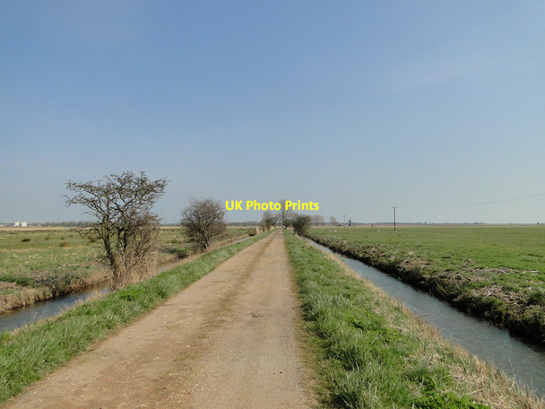 Photo 6"x4" Flat landscape of Langley Marshes Cantley\/TG3803 c2015