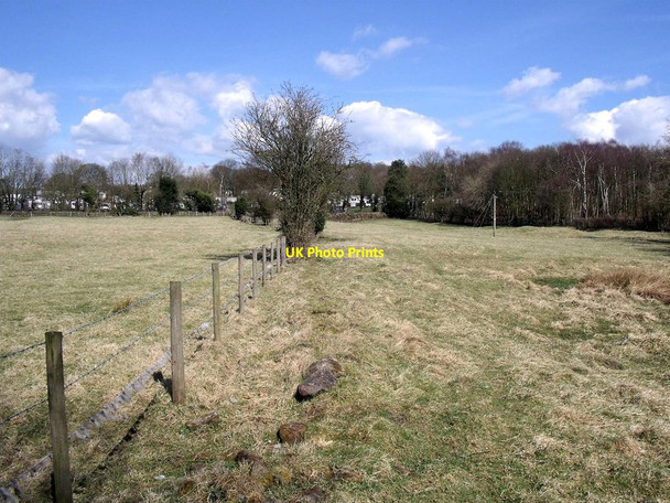 Photo 6"x4" The old road out of Oakamoor Longshaw\/SK0645 c2015