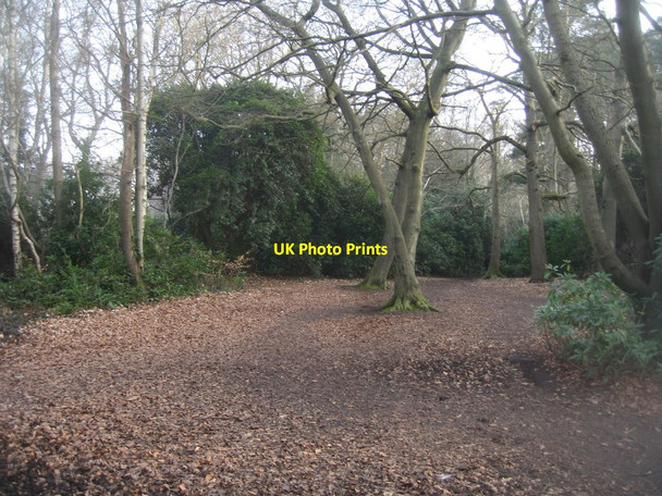 Photo 6"x4" Path through Queen Elizabeth Park Farnborough\/SU8754 c2015
