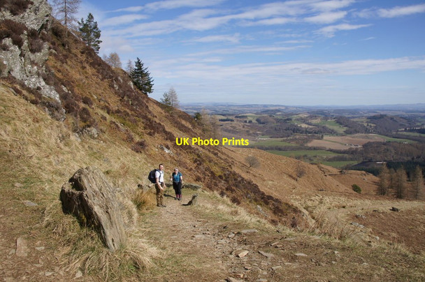 Photo 6"x4" Ascending Birnam Hill Birnam c2015