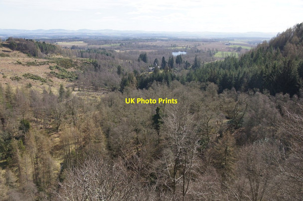 Photo 6"x4" Rohallion Lodge from Stair Bridge Birnam c2015