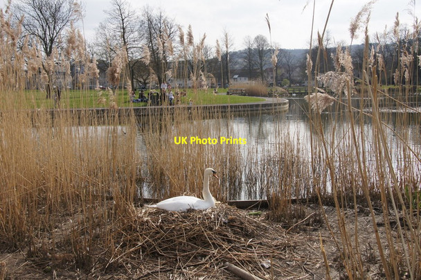 Photo 6"x4" South Inch boating pond, Perth Perth\/NO1123 c2015