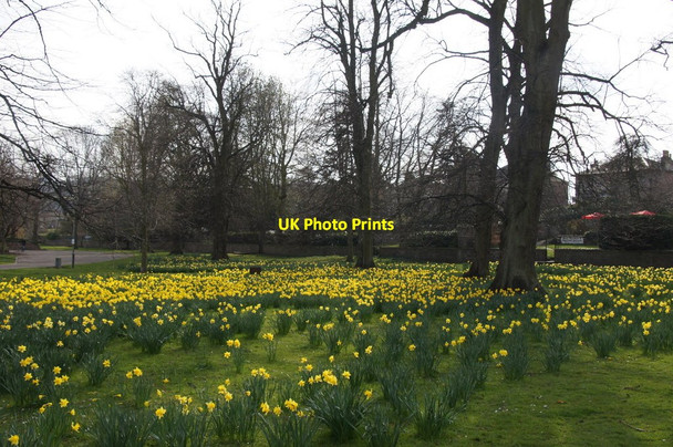 Photo 6"x4" The Golden Garden, South Inch, Perth Perth\/NO1123 c2015