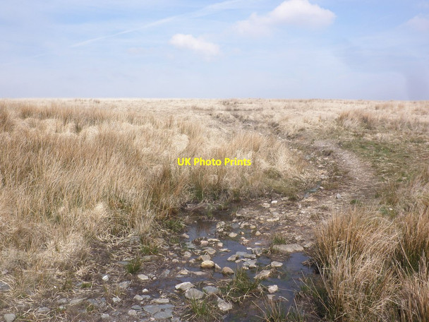 Photo 6"x4" Moorland track, above Rams Combe Simonsbath c2015