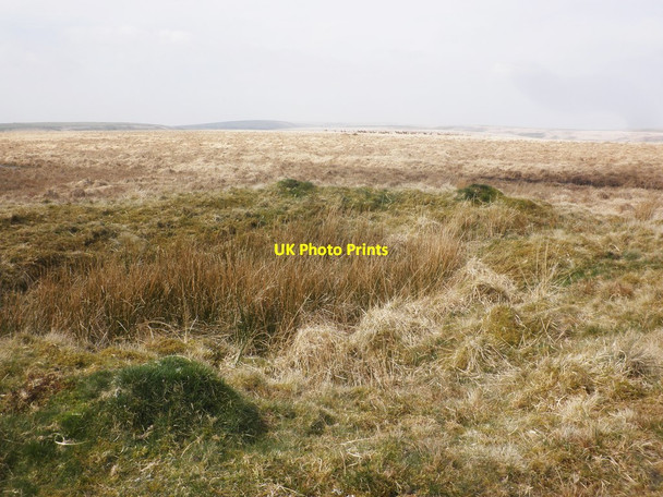 Photo 6"x4" Close up of tumulus Simonsbath c2015