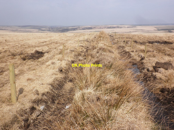 Photo 6"x4" Internal wall, Exmoor Forest Simonsbath c2015