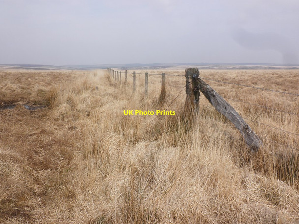 Photo 6"x4" Boundary fence above Great Buscombe Simonsbath c2015