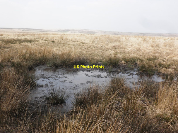 Photo 6"x4" Bog, Great Buscombe Simonsbath c2015