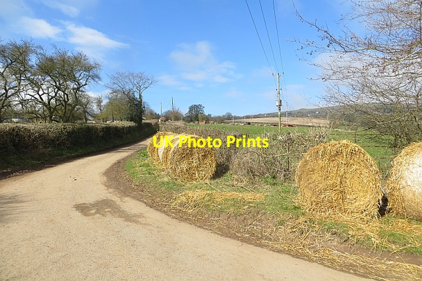Photo 6"x4" Round bales, Earls Ditton Foxwood c2015