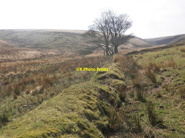 Photo 6"x4" Old boundary wall, Lanacombe Simonsbath c2015