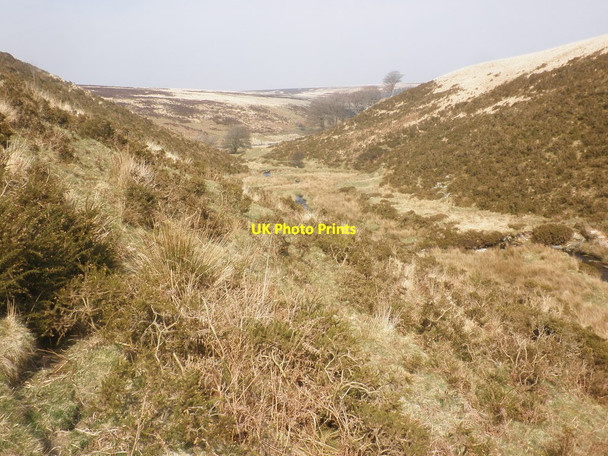 Photo 6"x4" Lower Lanacombe Hoccombe Hill c2015