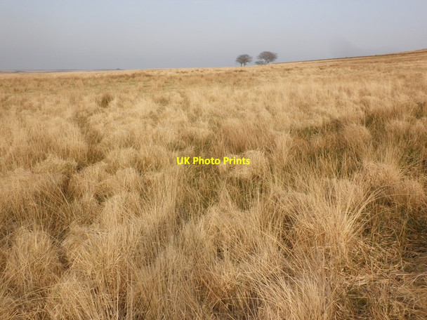 Photo 6"x4" Swap Hill Oareford c2015