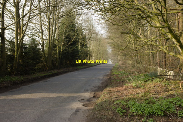 Photo 6"x4" Eccup Lane Eccup c2015