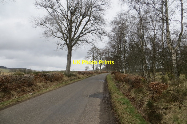 Photo 6"x4" Road, Kaimes of Airlie Airlie\/NO3150 c2015