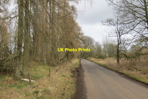 Photo 6"x4" Road, Kaimes of Airlie Kirkton of Kingoldrum c2015