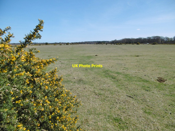 Photo 6"x4" Hill Top, lawn Hill Top\/SU4003 c2015