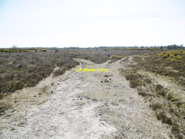 Photo 6"x4" Hill Top, forestry track junction Hill Top\/SU4003 c2015