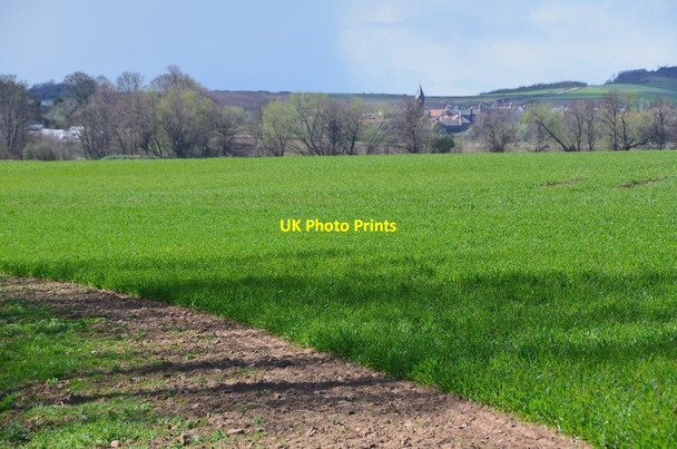 Photo 6"x4" East Linton in view East Linton c2015