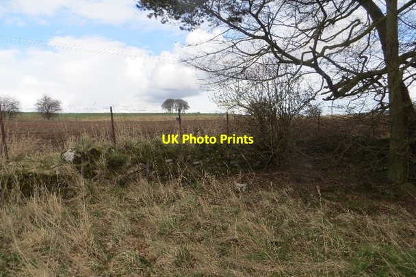 Photo 6"x4" Wall, Rosewell Kirriemuir c2015