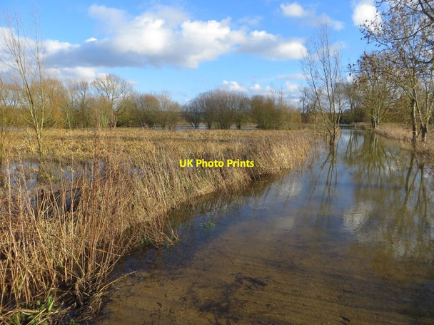 Photo 6"x4" Marsh on the Left North Stoke\/SU6186 c2014