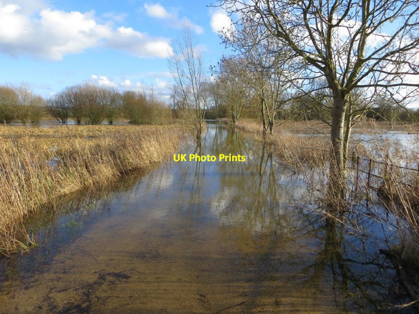 Photo 6"x4" Thames at the end North Stoke\/SU6186 c2014