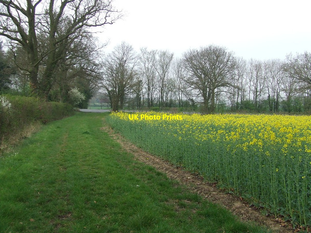 Photo 6"x4" Approaching The A12 Bredfield c2014